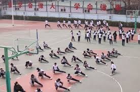 申花vs津门虎首发：4外援PK5外援 费南多先发